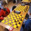 szachy (6)